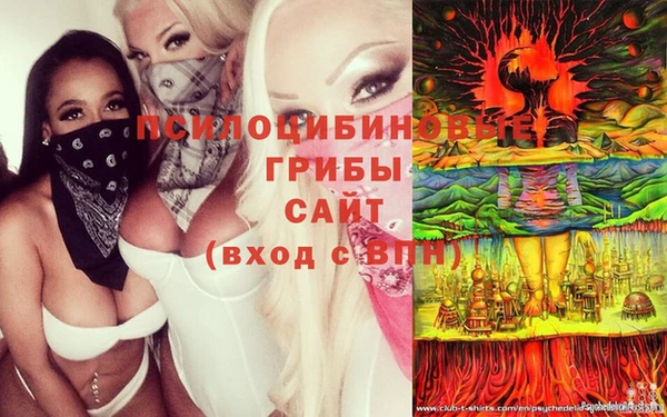 каннабис Арсеньев