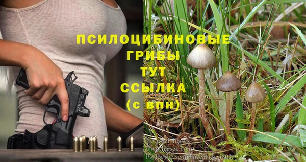 дмт Баксан