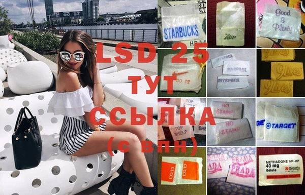 сатива Балахна