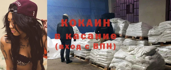 сатива Балахна