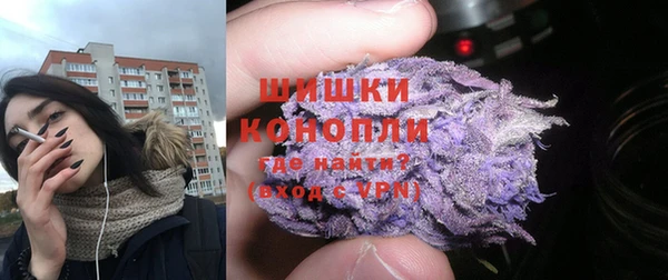 сатива Балахна