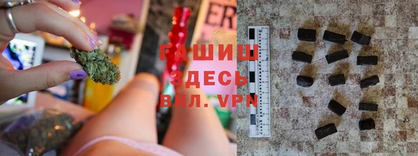 сатива Балахна