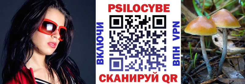Галлюциногенные грибы Cubensis Белинский