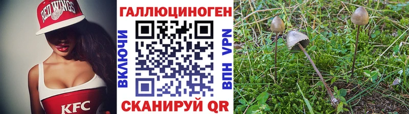 Псилоцибиновые грибы ЛСД Белинский